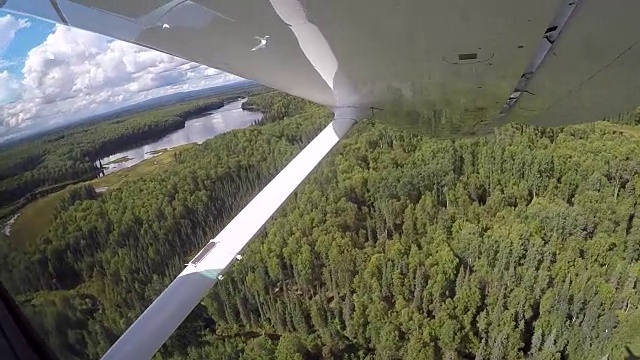 水上飞机在湖泊和德纳里山或麦金利山附近的森林上空飞行。美国阿拉斯加。视频素材