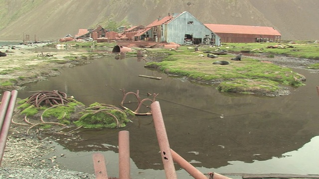 WS, PAN，废弃的捕鲸站Grytviken，生锈的桶和建筑，南乔治亚岛，福克兰群岛，英国海外领土视频素材