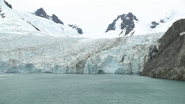 MS，冰川进入海湾，南乔治亚岛，福克兰群岛，英国海外领土视频素材