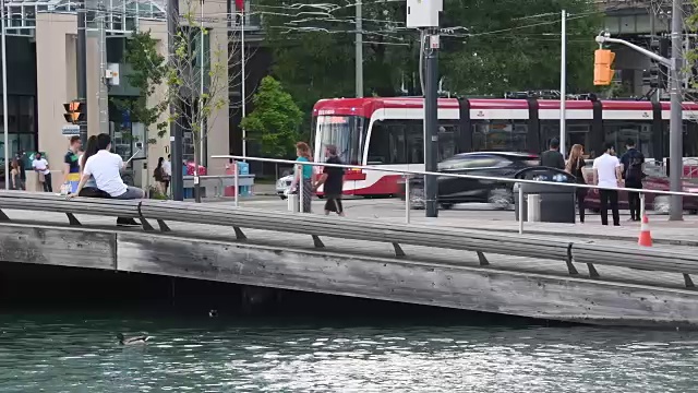 多伦多，加拿大:海滨海滨波甲板和现代庞巴迪有轨电车。在加拿大城市的休闲区和著名的地方的日常生活方式视频素材