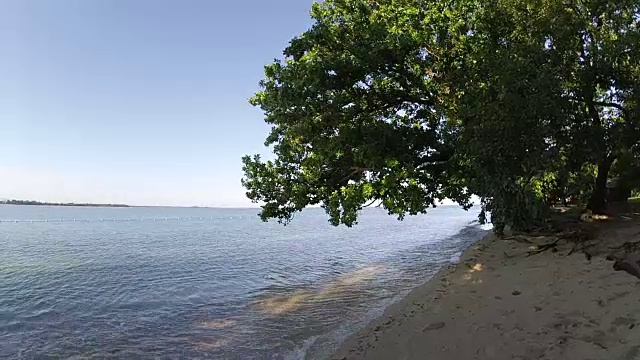 在岛上阴凉的地方有树的海滩视频素材