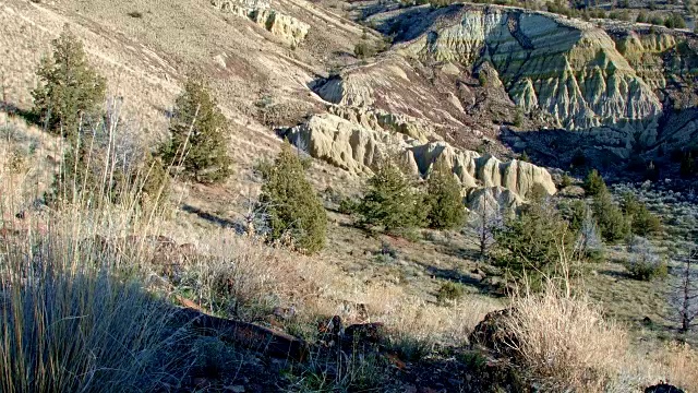 冬季荒地形成约翰戴化石床萨顿山2画山俄勒冈14视频素材