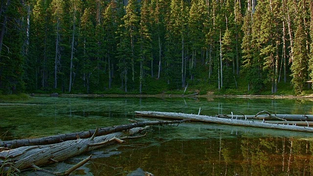 小森林湖在黎明宽阔的隐藏沼泽俄勒冈瀑布椭圆形湖胡德山国家森林15视频素材