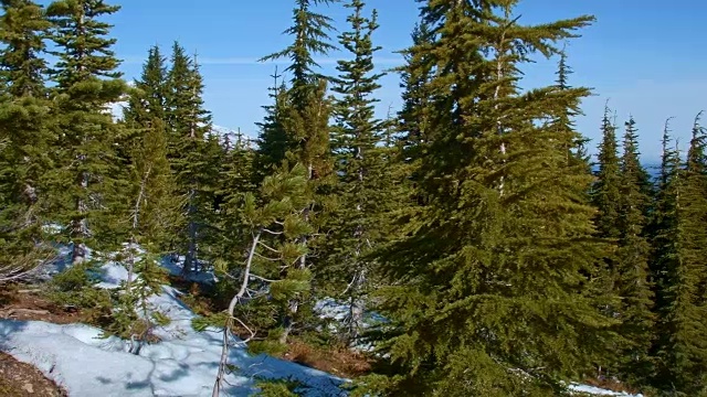 春季融雪和森林，俄勒冈州胡德山脉45视频素材