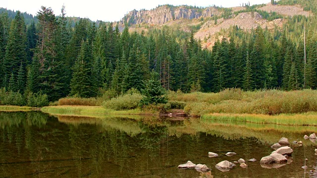 空旷的营地湖边和树反射镜湖，俄勒冈州胡德山视频素材