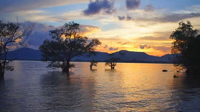 夕阳下的海潮视频素材