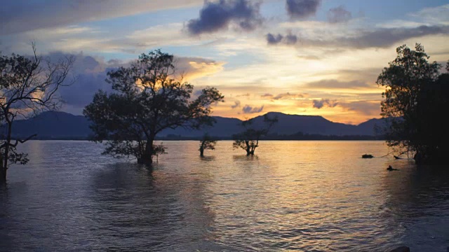 夕阳下的海潮视频素材