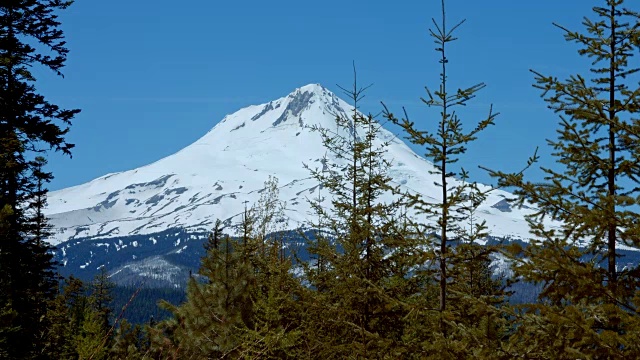 明亮的蓝天，白色的雪山后面的树，天胡德山，春天森林，俄勒冈喀斯喀特山脉视频素材