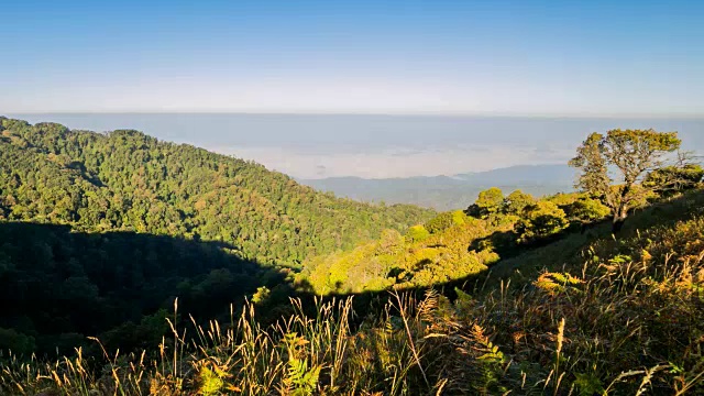 壮观的丛林景观和山脉视频素材