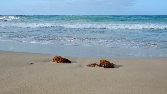 夏威夷波伊普海滩海岸岩石海藻考艾岛夏威夷视频素材