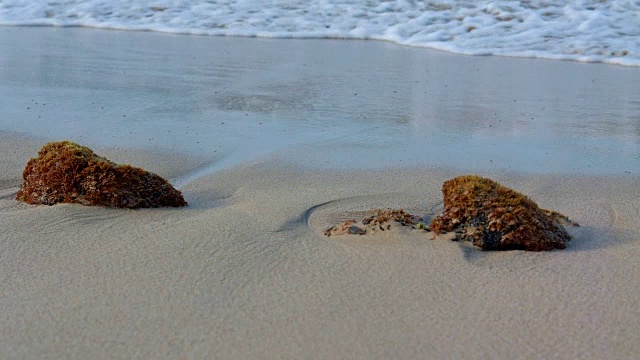 夏威夷Poipu海滩，海岸岩石，海藻，夏威夷考艾岛视频素材