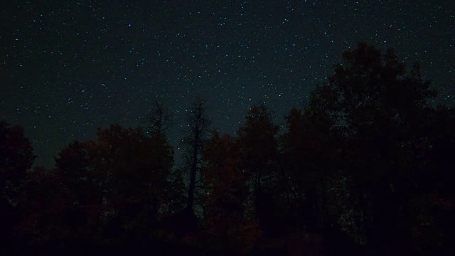 史帝恩山的白杨树在晚上星星的剪影视频素材