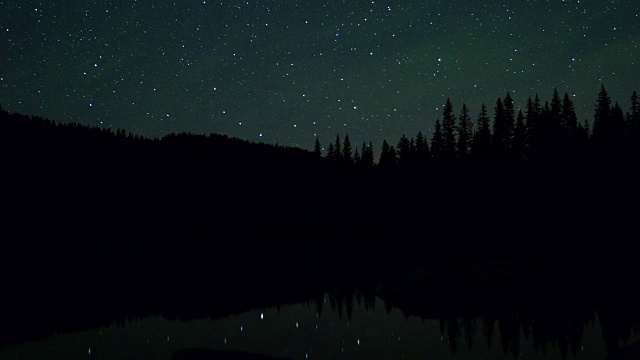 黑暗的森林剪影在安东尼湖在瓦洛瓦-惠特曼国家森林在夜晚的星星视频素材