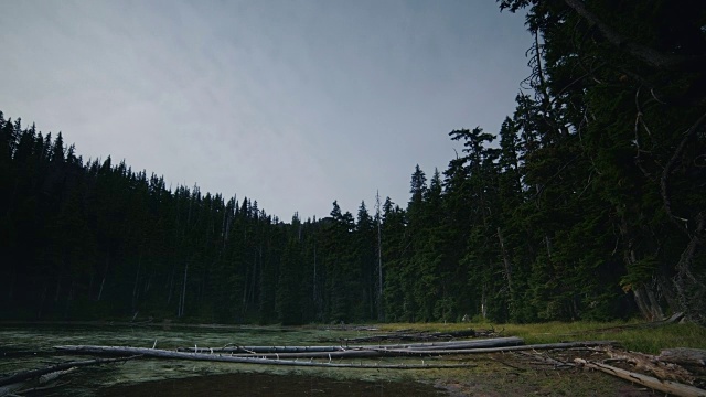 隐蔽的湖沼泽在夜晚阴云和月光与星星在山胡德森林视频素材