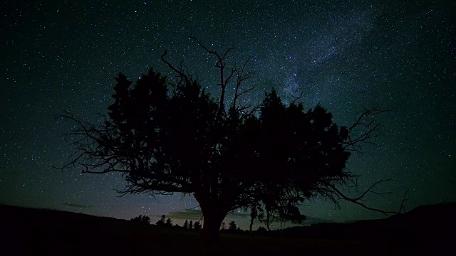 孤独的西部杜松与北极光北极光和银河黑暗星空在夜晚的沙漠视频素材