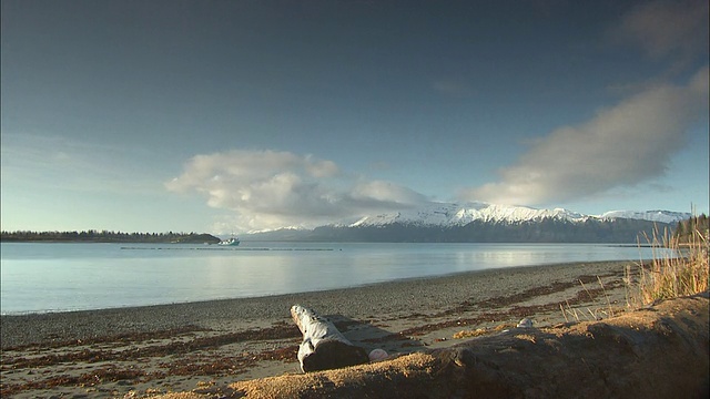 T/L WS浮木位于雅库塔湾的海滩上，船和山在Wrangell-St。伊莱亚斯国家公园/阿拉斯加，美国视频素材