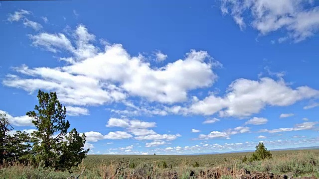 在马勒尔国家野生动物保护区附近的南斯滕斯山的沙漠中，蓝天白云下视频素材