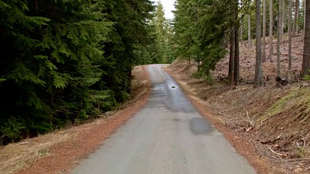 在俄勒冈州的春天，开车沿着空旷的公路拍摄湿雨瀑布山森林视频素材