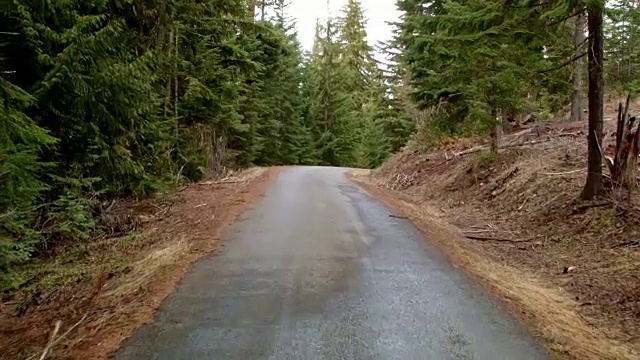 在俄勒冈州的春天，驾车沿着空旷的道路拍摄湿雨瀑布山森林视频素材