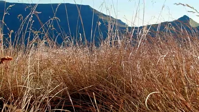 位于马尔胡尔野生动物保护区附近的基格峡谷山顶斯滕斯山边缘视频素材