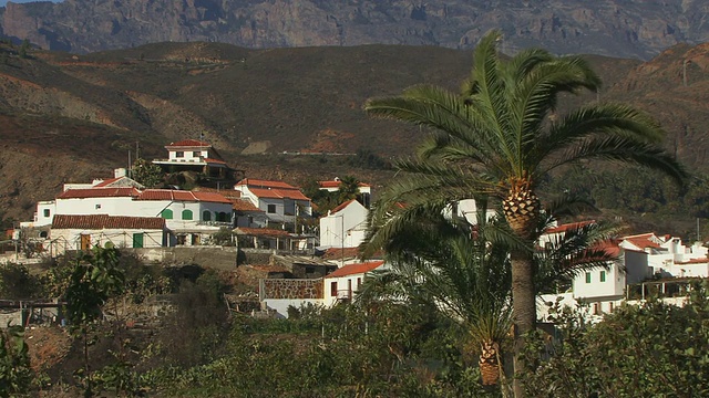 西班牙，加那利群岛，大加那利群岛，法塔加，村庄房屋，前景棕榈树视频素材