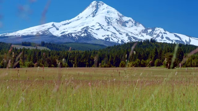 绿油油的草地和蓝天，雪山的夏天在土丘胡德视频素材