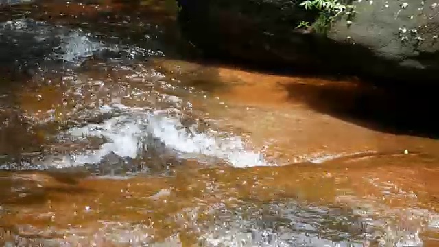 森林中的淡水瀑布视频素材