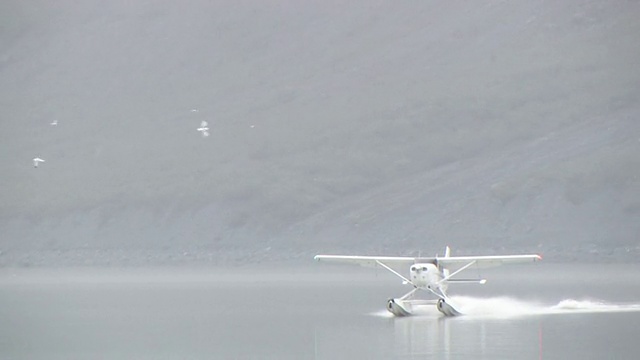 水上浮动飞机降落，塔尔湾湾，冰川湾国家公园和保护区，阿拉斯加，美国视频素材