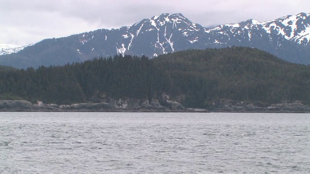 两只虎鲸(Orcinus orca)在冰川湾跳跃，背景山脉，冰川湾国家公园和保护区，阿拉斯加，美国视频素材