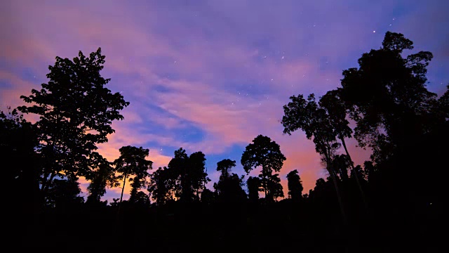 夜空中的流星视频素材