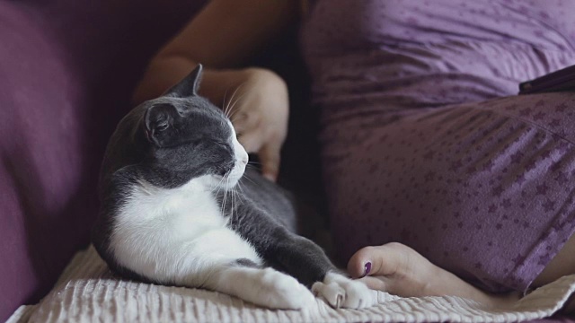 年轻女子抱着她的猫视频下载