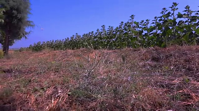 偏远的地区视频素材