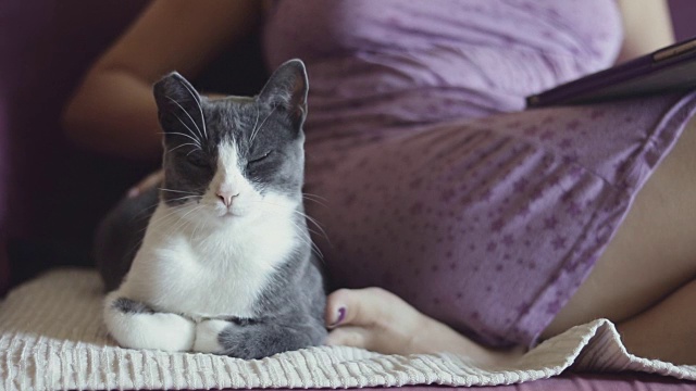 年轻女子抱着她的猫视频下载