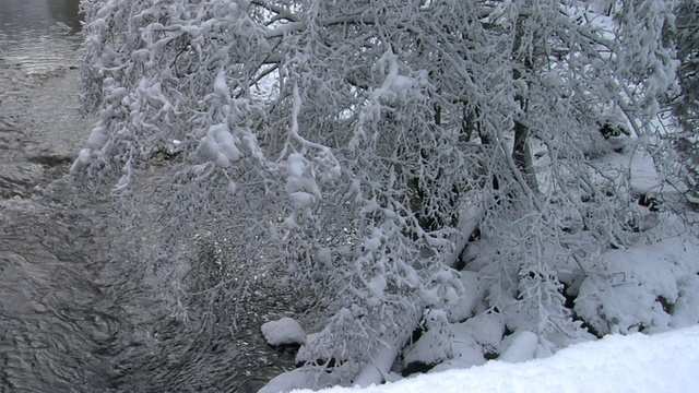 在美国加利福尼亚州约塞米蒂国家公园里，紫古河在积雪覆盖的树木附近流动视频素材