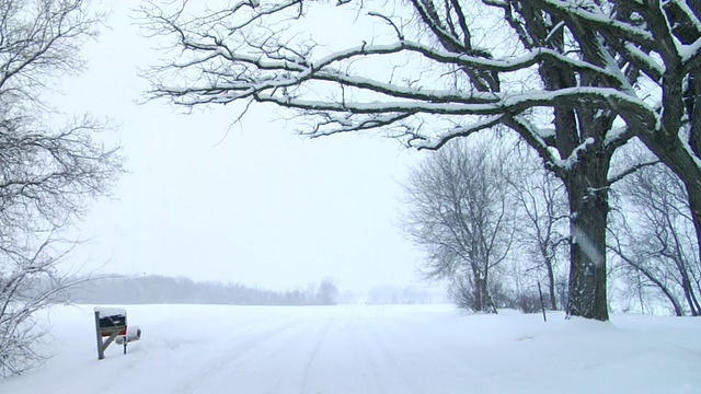 暴风雪期间的WS乡村公路/霍顿维尔，威斯康星州视频素材