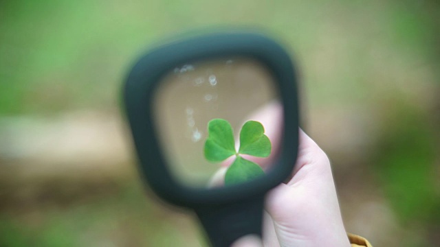 用放大镜观察三叶草叶进行STEM研究视频素材