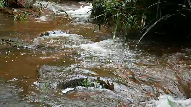 森林中的淡水瀑布视频素材