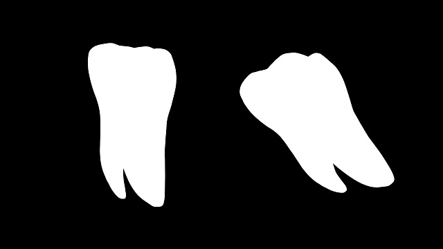 牙齿旋转4k分辨率视频素材