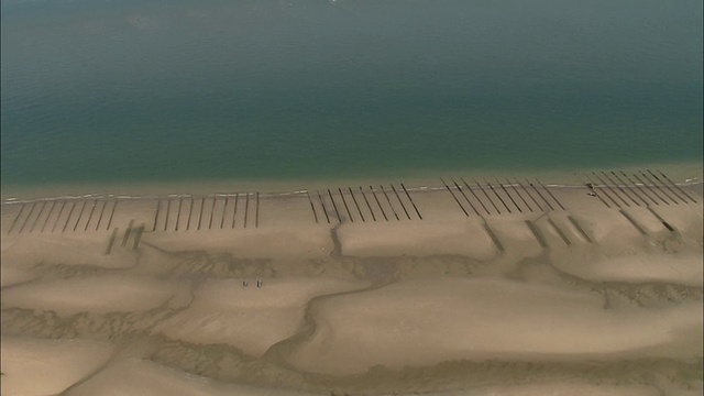 航拍，贻贝床，海滩，维桑，加来海峡，法国视频素材