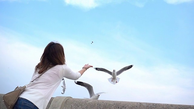 一名年轻女子在泰国热带海滩上喂海鸥视频素材