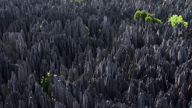 马达加斯加:贝马拉哈Tsigny的岩石和植被视频下载