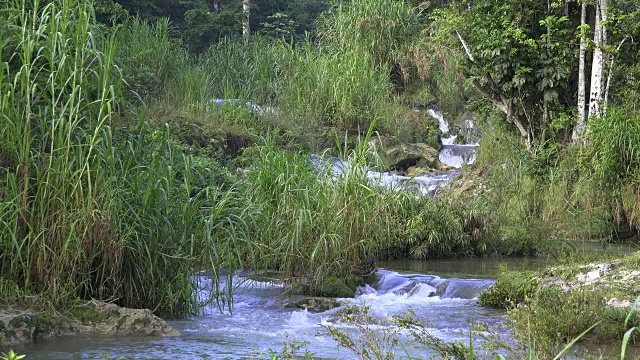 古巴旅游:“El Nicho”自然之美，位于Escambray山脉的受欢迎的自然保护区，用于Sancti Spiritus省的生态旅游视频素材