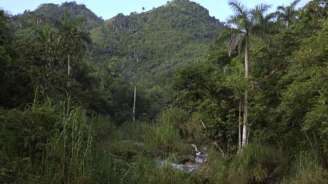 古巴旅游:“El Nicho”自然之美，位于Escambray山脉的受欢迎的自然保护区，用于Sancti Spiritus省的生态旅游视频素材