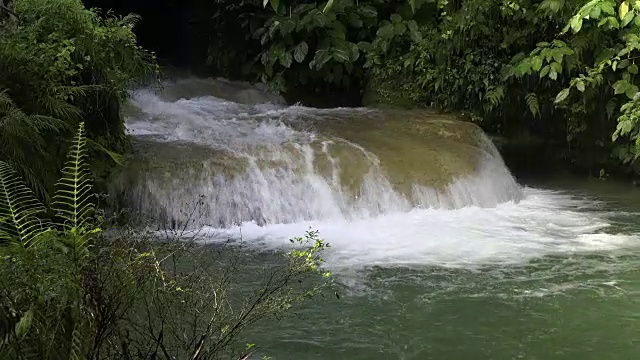 古巴旅游:“El Nicho”自然之美，位于Escambray山脉的受欢迎的自然保护区，用于Sancti Spiritus省的生态旅游视频素材