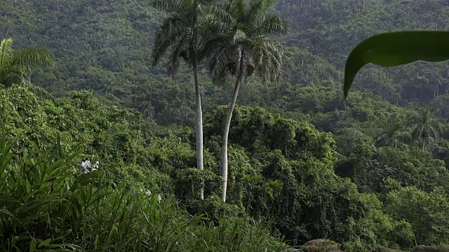 古巴旅游:在Sancti Spiritus省，“Escambray”山脉的“El Nicho”自然保护区用于生态旅游。视频素材