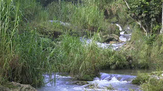 古巴旅游:“El Nicho”自然之美，位于Escambray山脉的受欢迎的自然保护区，用于Sancti Spiritus省的生态旅游视频素材