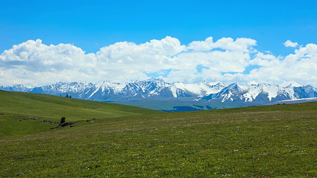 Karajun草地鸟瞰图视频素材