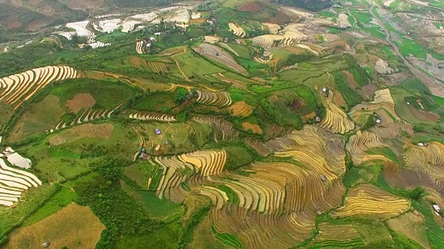 从无人机的视角看梯田视频素材