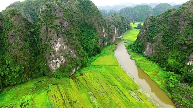 越南宁平省Tam Coc喀斯特地层和稻田的无人机视图视频下载