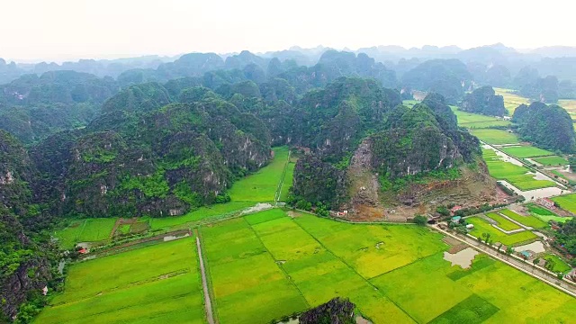 越南宁平省Tam Coc喀斯特地层和稻田的无人机视图视频素材